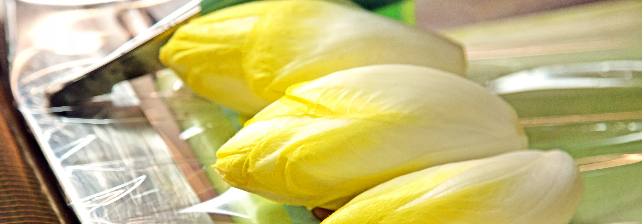 header_home Zwei frische, gelb-weiße Chicorée liegen nebeneinander auf einer durchsichtigen Folie.