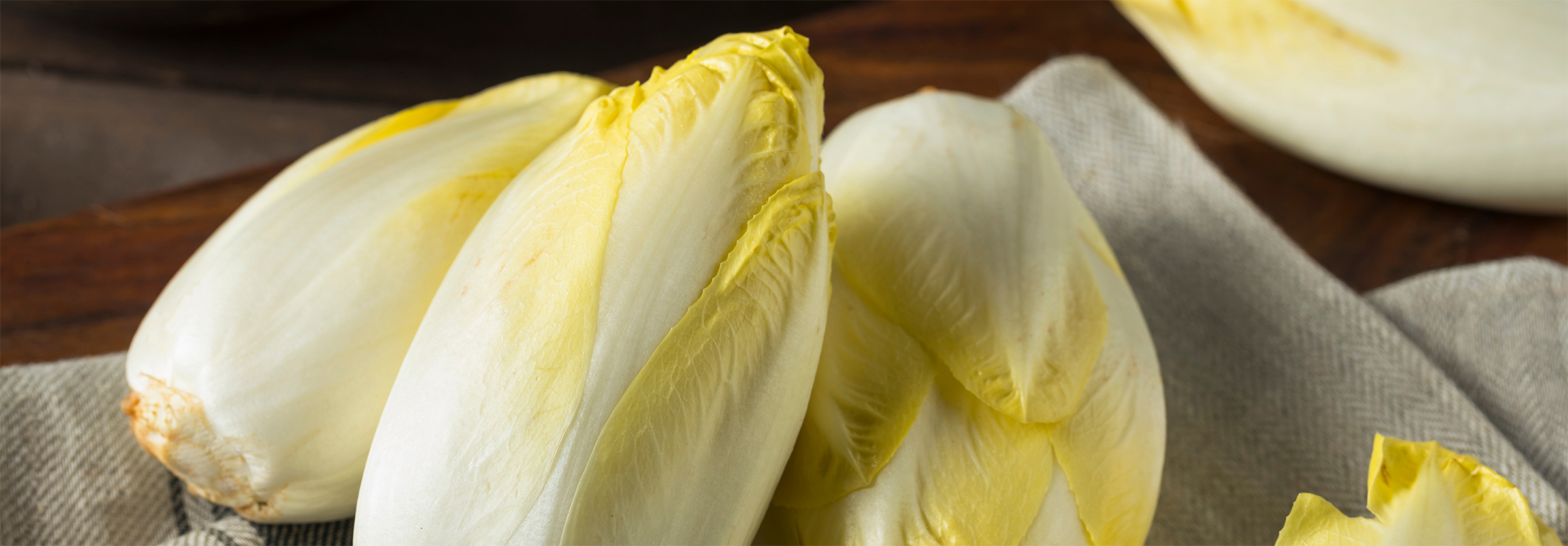 home_chicoree_aus_brandenburg_2400px Drei frische, gelb-weiße Chicorée liegen auf einem Leinentuch auf einem Holztisch.