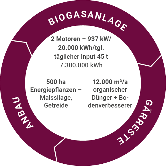 kreislaufwirtschaft Kreisdiagramm mit drei Segmenten: Biogasanlage, Gärreste, Anbau, jeweils mit technischen und landwirtschaftlichen Angaben.