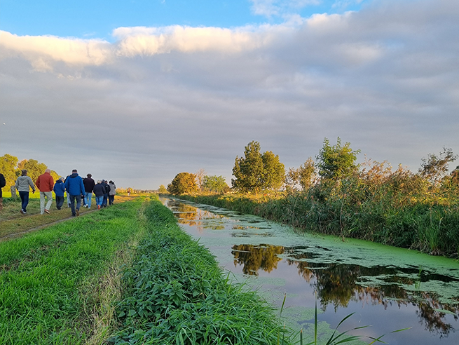 chicoree-tagung_2025_kranichführung_sl_gartenbau_web Gruppe von Menschen geht auf einem Grasweg neben einem Wassergraben mit Spiegelung von Bäumen und bewölktem Himmel.