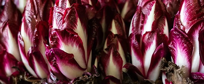 Mehrere rote Chicorée-Köpfe mit weißen Blattadern, dicht nebeneinander in einer Kiste angeordnet.