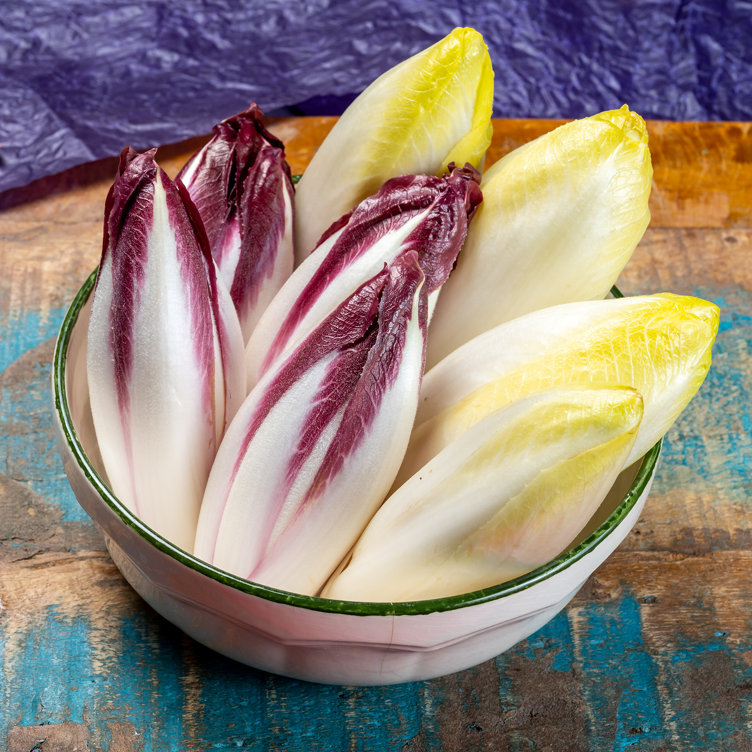 Schüssel mit mehreren Chicorée-Köpfen, einige rot-weiß, andere gelb-weiß, auf blau-braunem Untergrund.