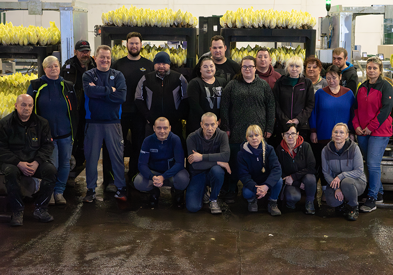 Gruppenfoto eines Produktionsteams vor mehreren Kisten mit Chicorée in einer Lagerhalle