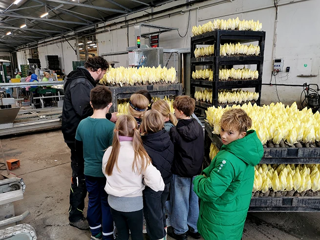 News_SL_Gartenbau_Berufe_AG_Beetz_10_2026_3 Gruppe von Kindern in einer Halle steht vor einem Mann und mehreren Regalen mit weißem Chicorée